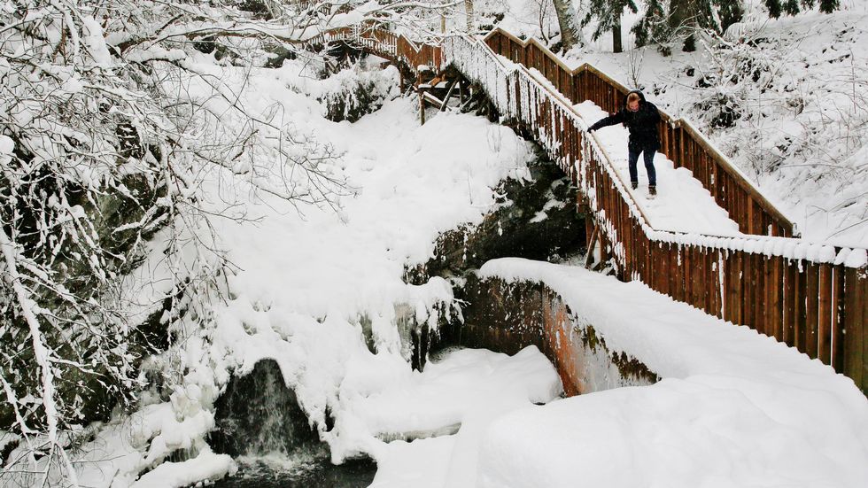 Vellykket: Åpningen av Ilabekken for noen år siden, har vært en ubetinget suksess. Området er blitt et interessant tur- og rekreasjonsområde.
(Foto: Glen Musk, ADRESSEAVISEN)